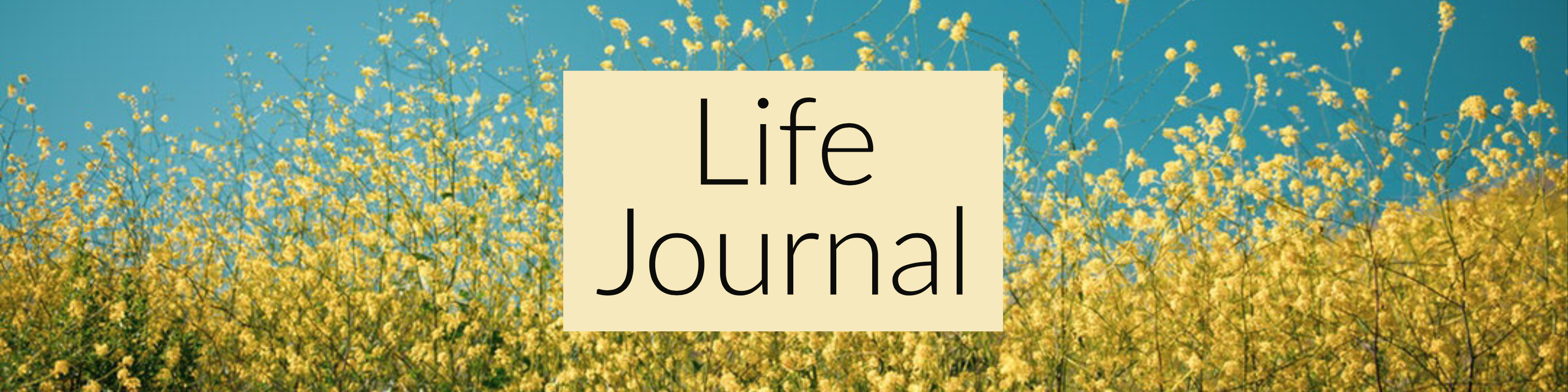 Life Journal website-2.jpg
