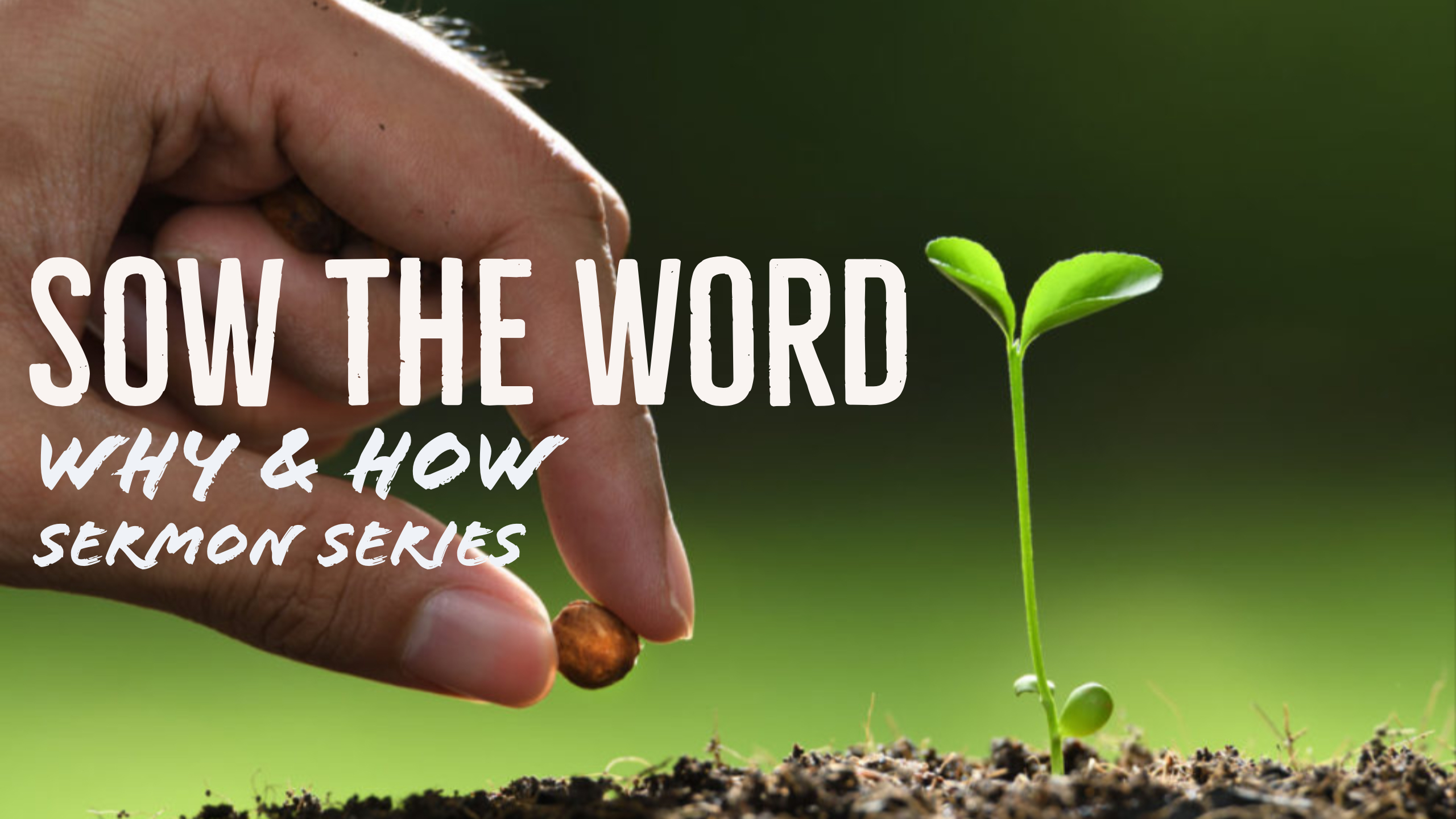 Sow the Word Sermon Series-2.jpg